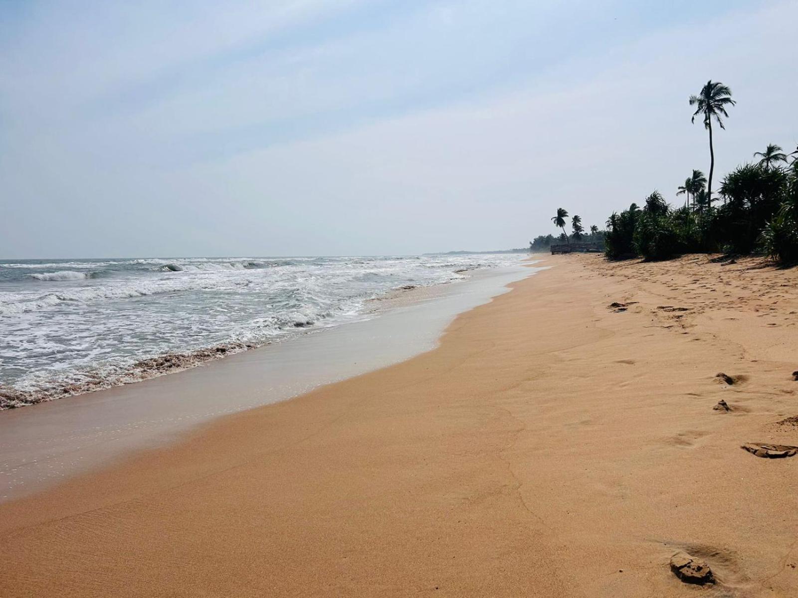 Blu Marine Nilaveli Hotel Trincomalee Exterior photo